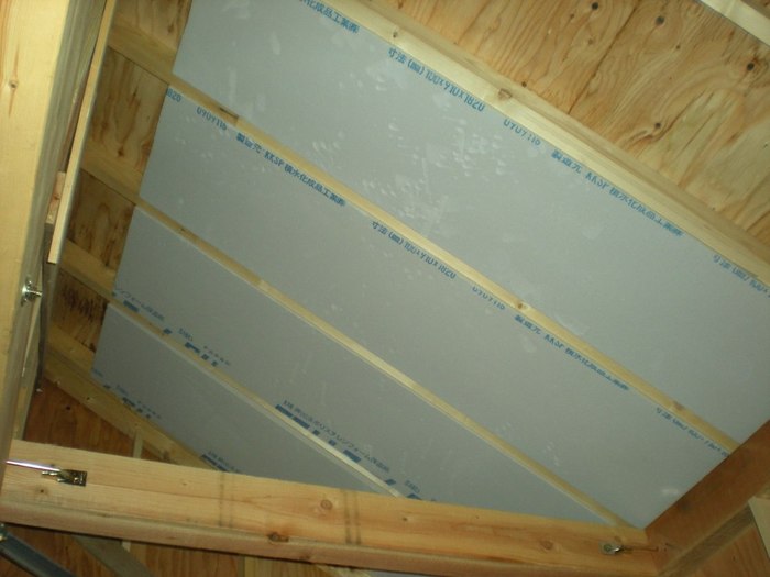 insulation%20on%20roof.JPG
